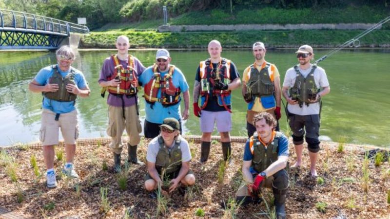 Mogu li plutajuće močvare spasiti umiruću obalu?