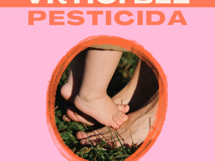 Udruga Zemljane staze pokreće kampanju „VRTIĆI BEZ PESTICIDA“ – zazdravije i sigurnije dječje prostore