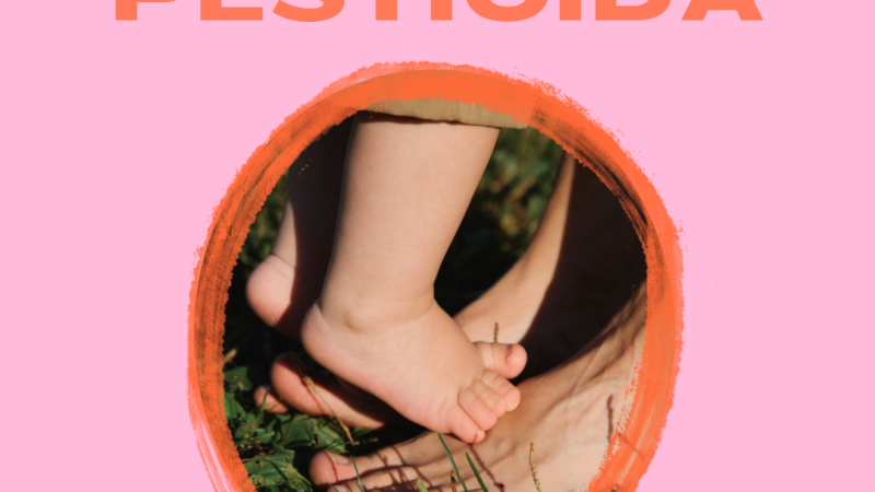 Udruga Zemljane staze pokreće kampanju „VRTIĆI BEZ PESTICIDA“ – zazdravije i sigurnije dječje prostore