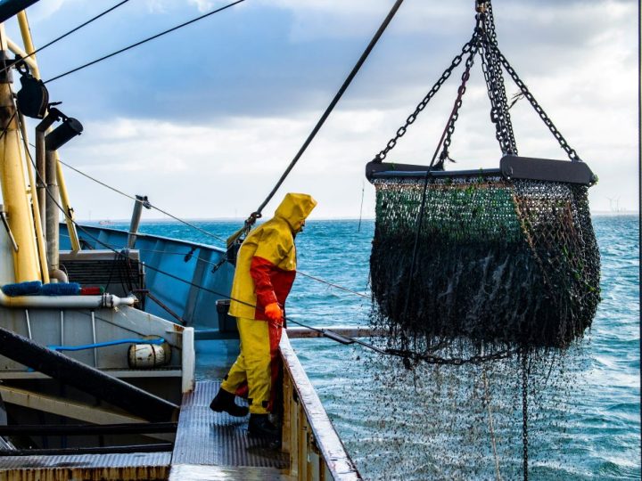 Presuda koja bi mogla zaustaviti razaranje europskog morskog dna