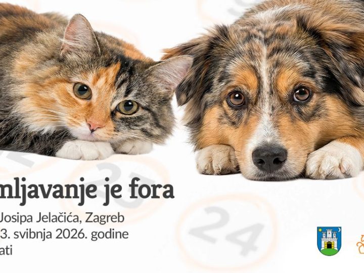 Udomljavanje je fora: volontiraj u svojem skloništu