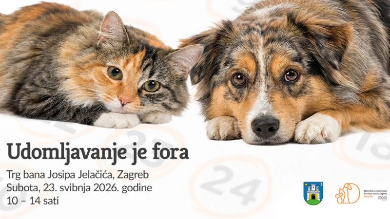 Udomljavanje je fora: volontiraj u svojem skloništu