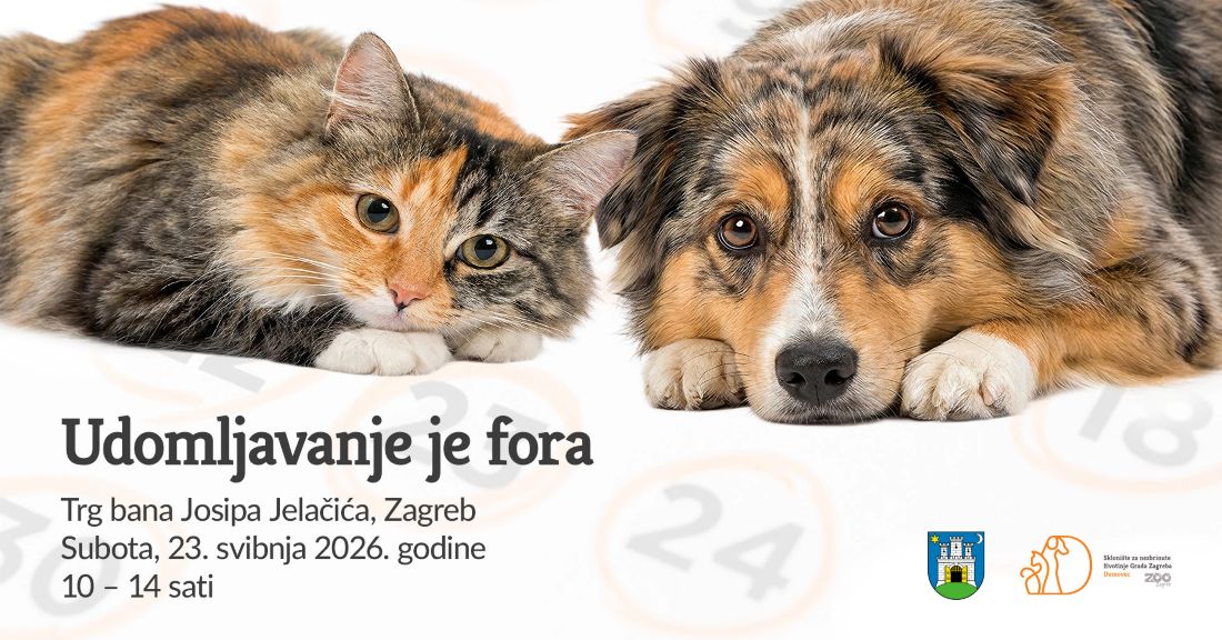 Udomljavanje je fora: volontiraj u svojem skloništu