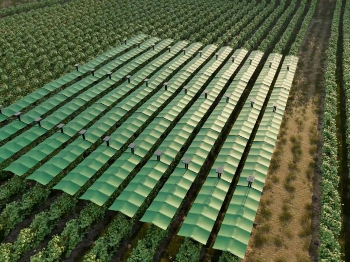 Francuski agrotech startup razvija pametnu “nadstrešnicu” koja štiti vinograde od mraza, tuče i toplinskog stresa