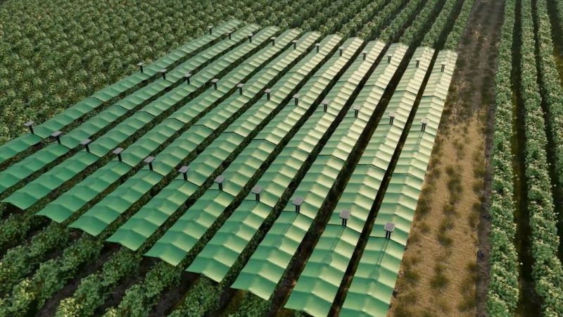 Francuski agrotech startup razvija pametnu “nadstrešnicu” koja štiti vinograde od mraza, tuče i toplinskog stresa