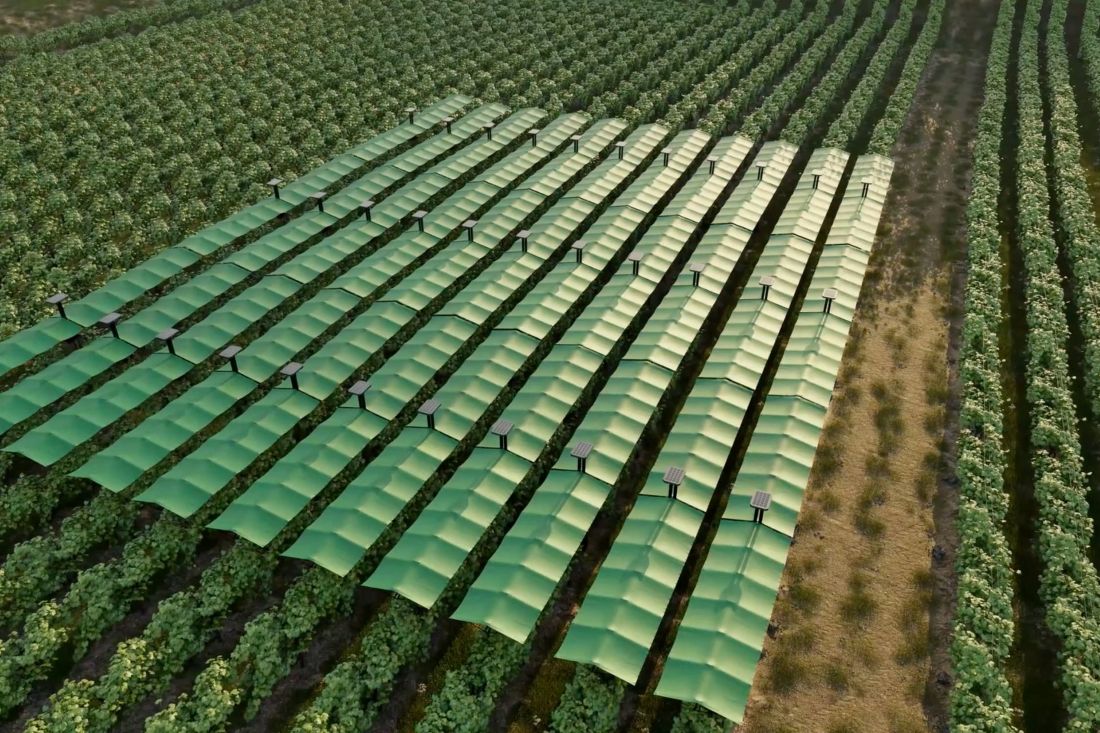 Francuski agrotech startup razvija pametnu “nadstrešnicu” koja štiti vinograde od mraza, tuče i toplinskog stresa