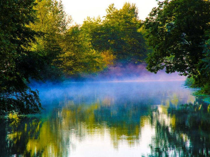 Francuska pod zaštitu stavlja dodatnih 157.000 hektara šuma