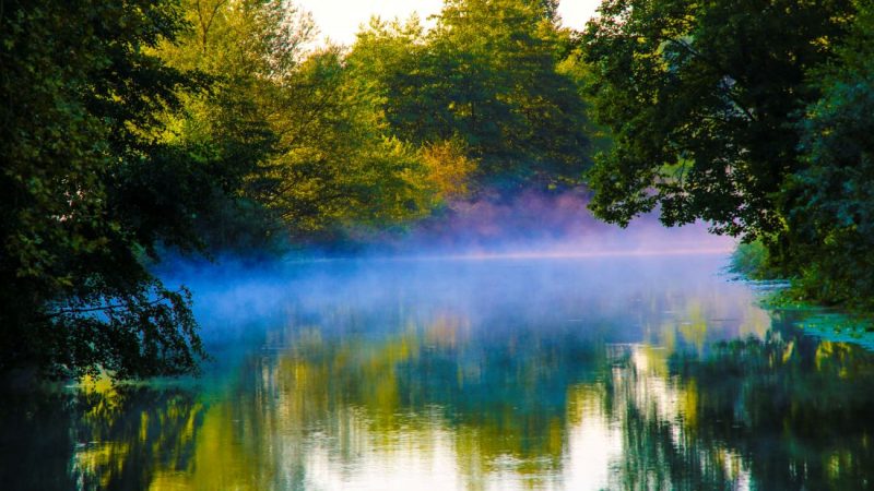 Francuska pod zaštitu stavlja dodatnih 157.000 hektara šuma