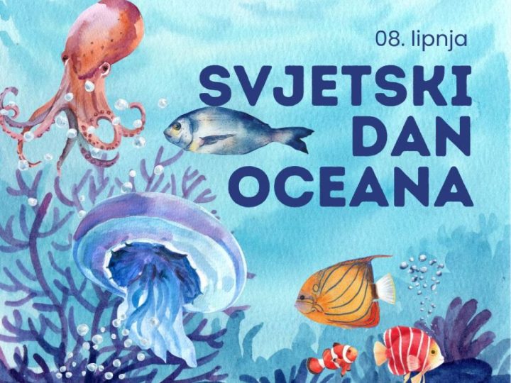 Danas je Svjetski dan oceana, a koće oru po Jadranu