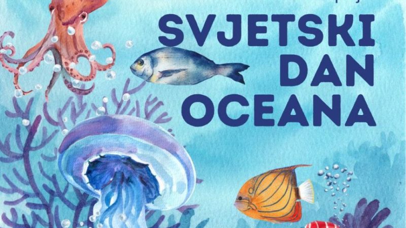 Danas je Svjetski dan oceana, a koće oru po Jadranu