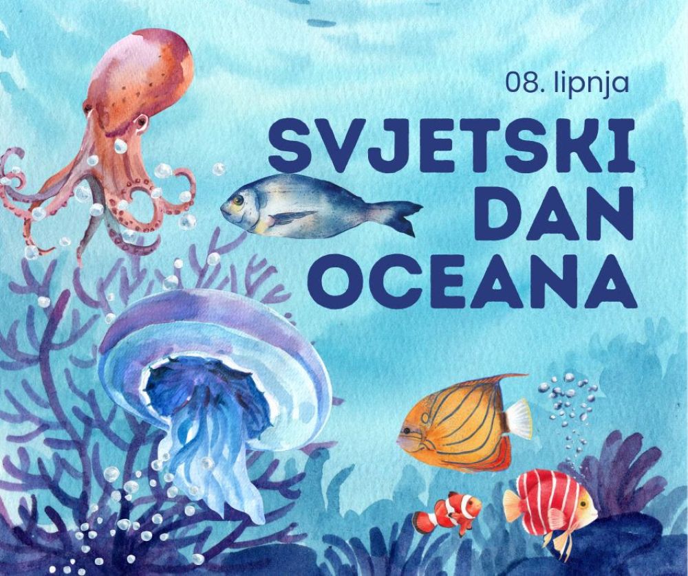 Danas je Svjetski dan oceana, a koće oru po Jadranu