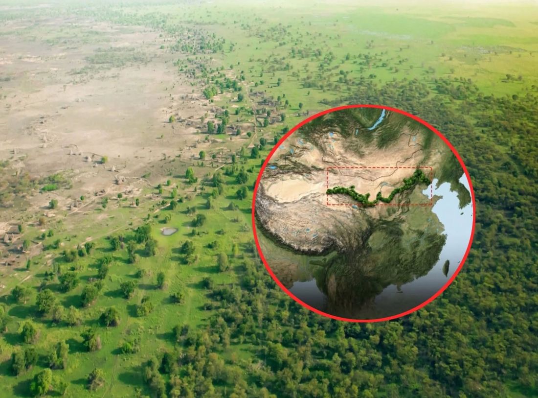 Kina sadi gotovo 100 milijardi stabala