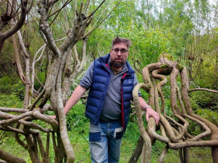 Voćnjak namještaja u Engleskoj uzgaja stolice