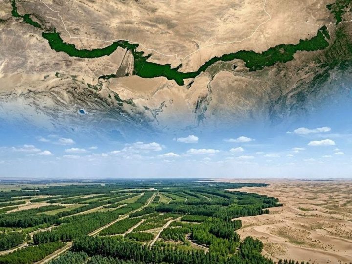 Kineski zeleni zid raste brže od prirodnih šuma i iznenađuje znanstvenike
