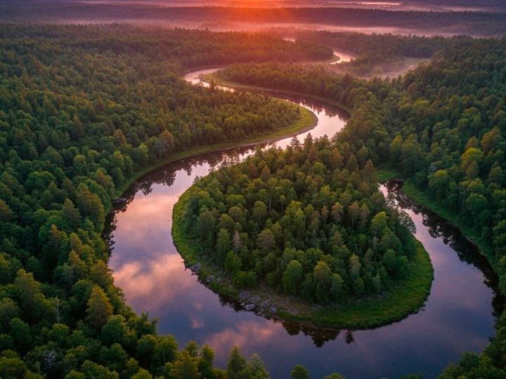 Kolumbija je donijela jednu od najvažnijih odluka za zaštitu Amazone