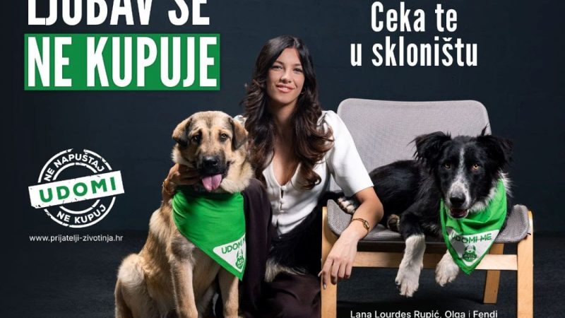 Kraljica Hrvatske poziva na udomljavanje