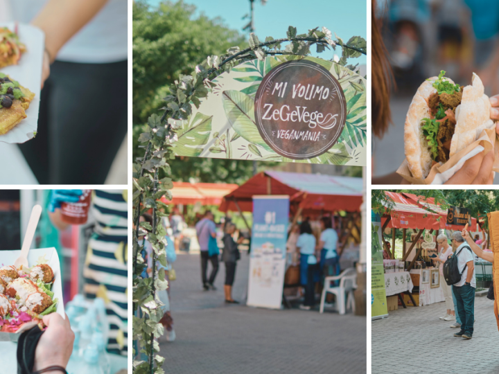 Bliži se 18. ZeGeVege festival