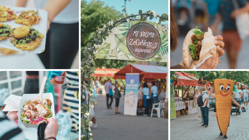 Bliži se 18. ZeGeVege festival