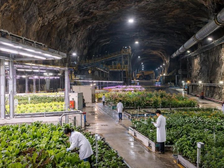 Kina želi uzgajati hranu duboko pod zemljom