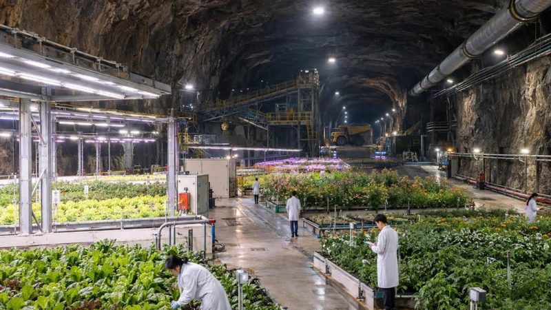 Kina želi uzgajati hranu duboko pod zemljom